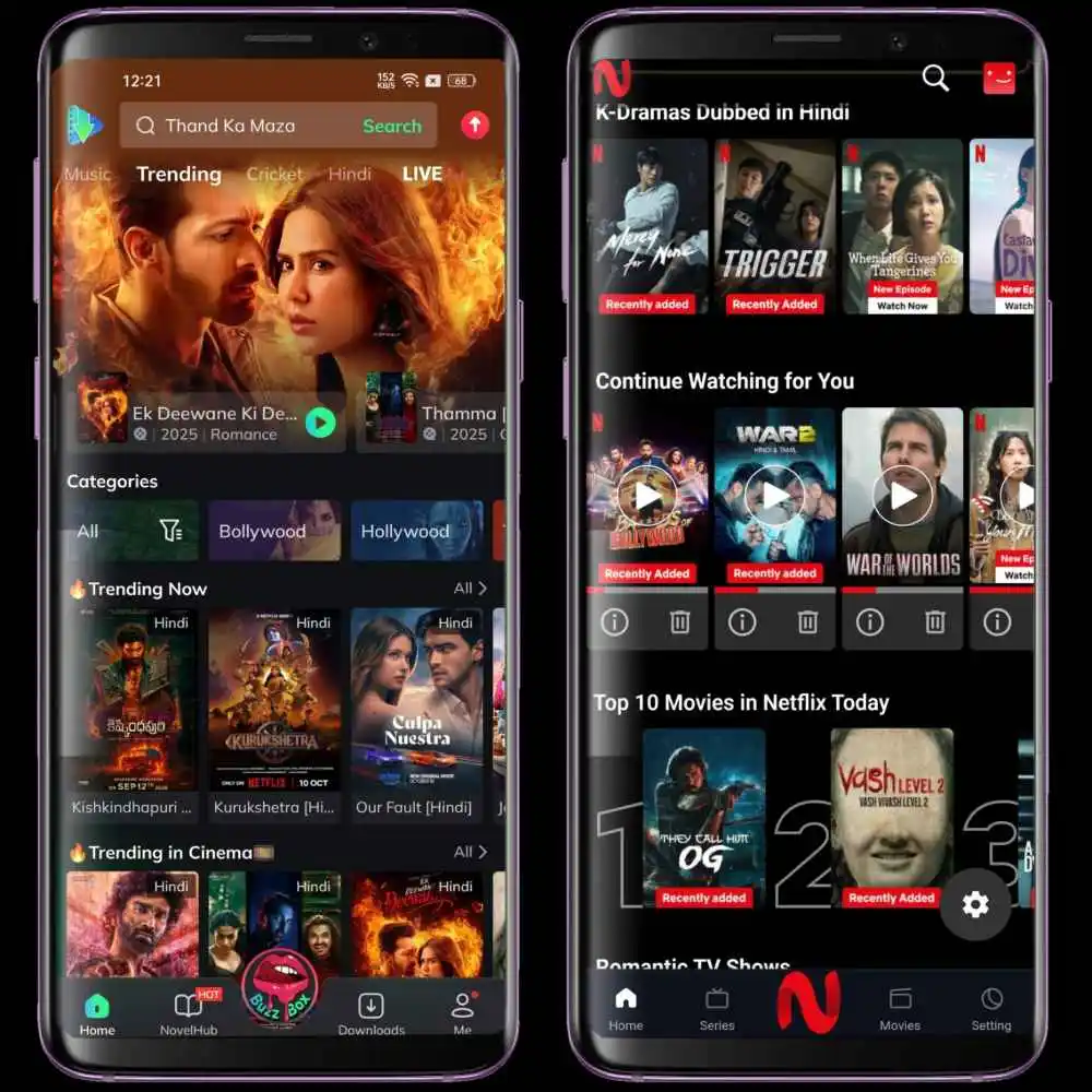 MovieBox Vs NetMirror Interface